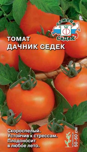 Сорта помидоров Дачник 