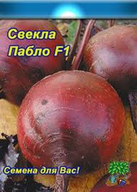 Свекла. сорта.